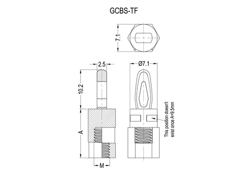 GCBS-TF 2D 503X350.jpg